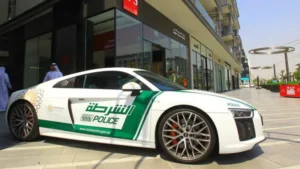 dubai police careers: dubai government jobs